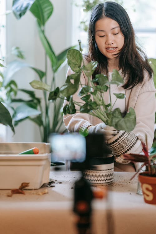 Woman in Brown Cardigan Holding Green Plant