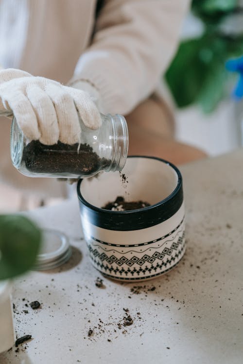 Free Person Holding a Glass Jar with Soil Stock Photo