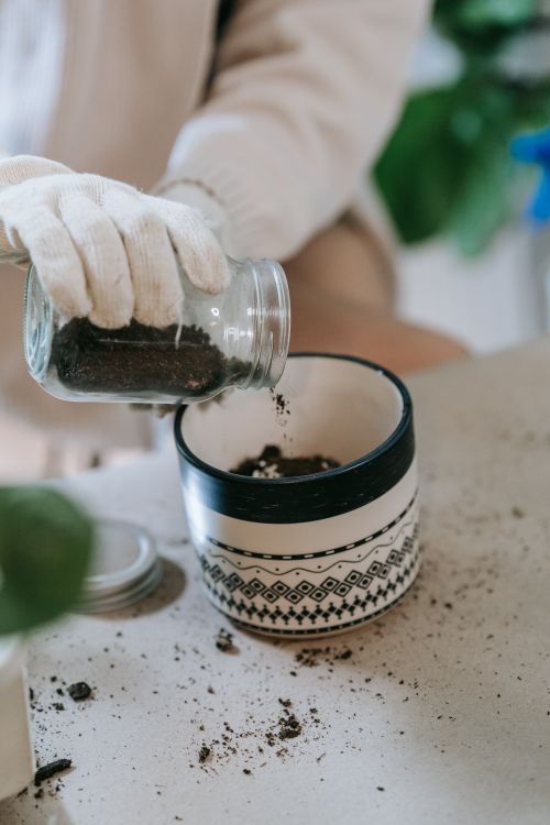 Free Person preparing a clay pot with soil indoors for gardening activities. Stock Photo