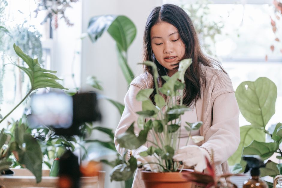 Container Gardening Tips for Lush Nigerian Balconies