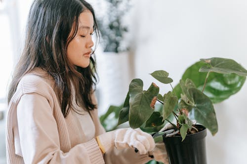 Free Woman in Beige Sweater Cutting a Plant Stock Photo
