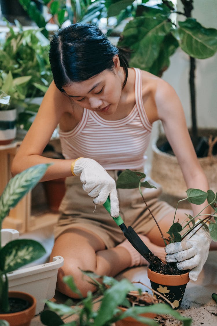 Woman Planting Houseplants In Pots