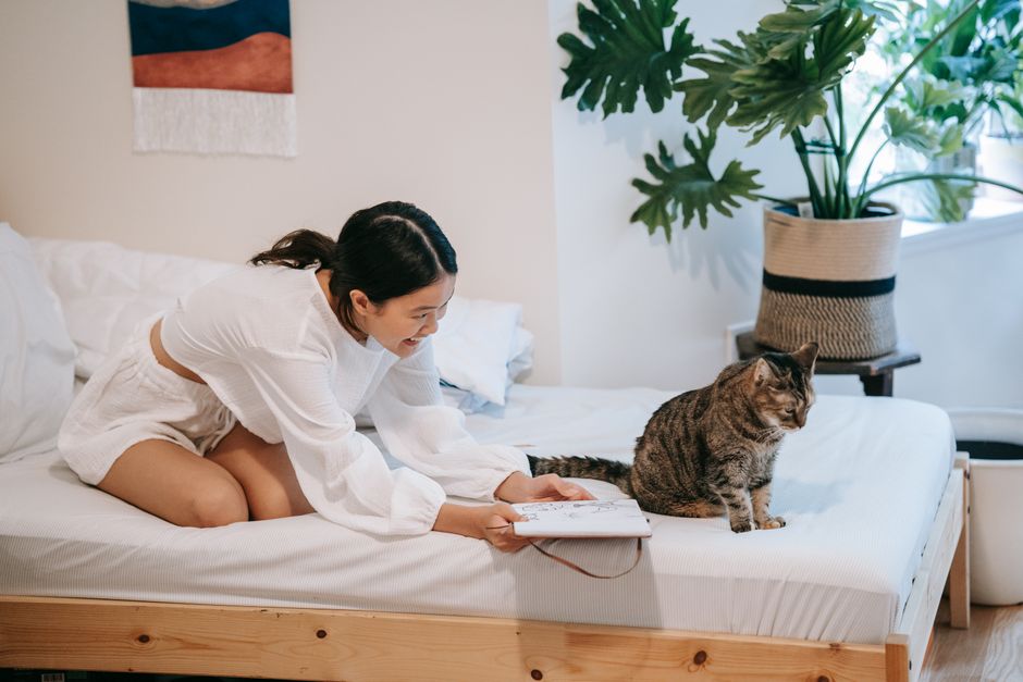 猫のおやつおすすめ5選