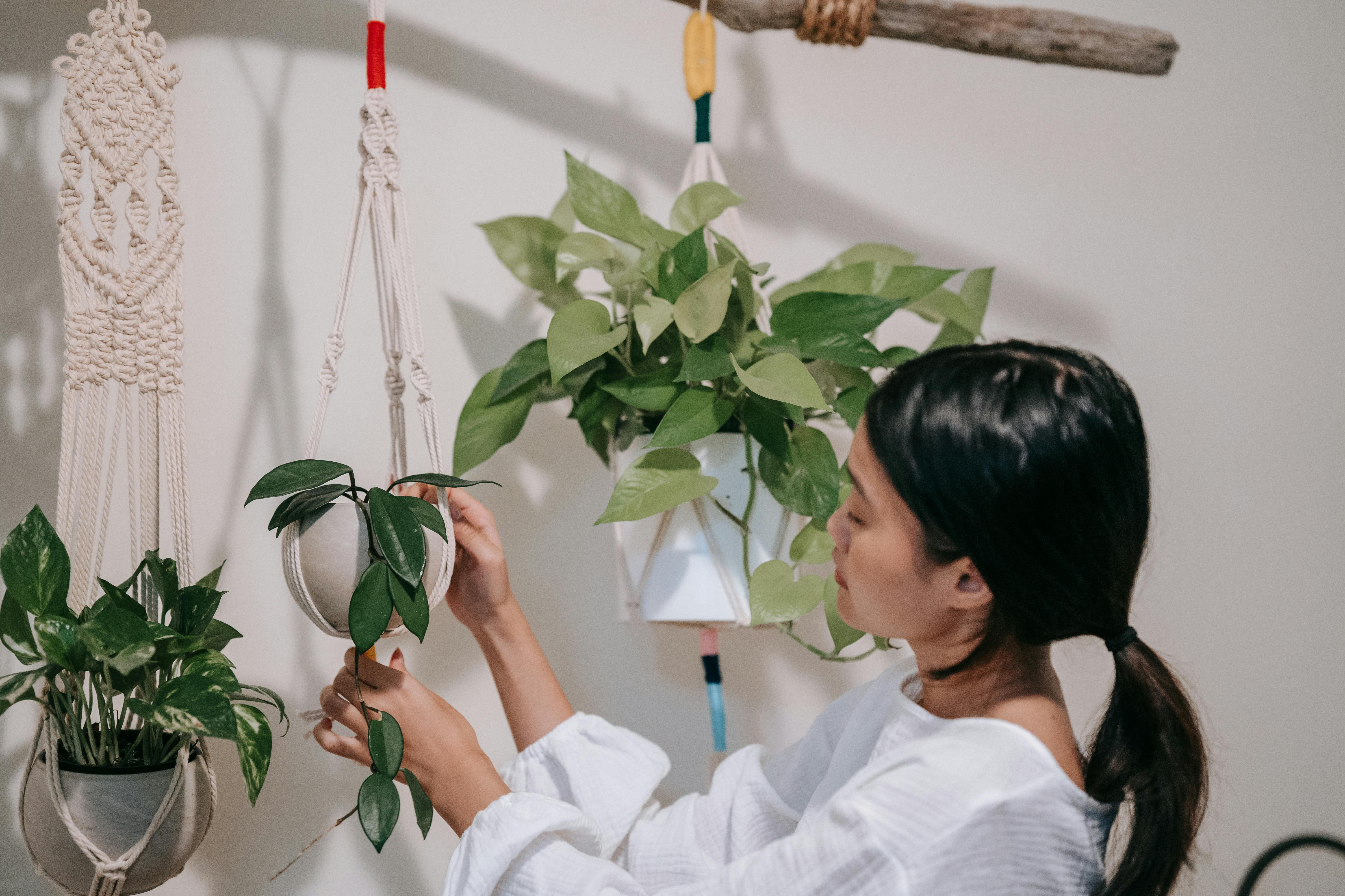 An Asian woman with a ponytail tends to indoor macrame hanging plants, focusing on greenery.