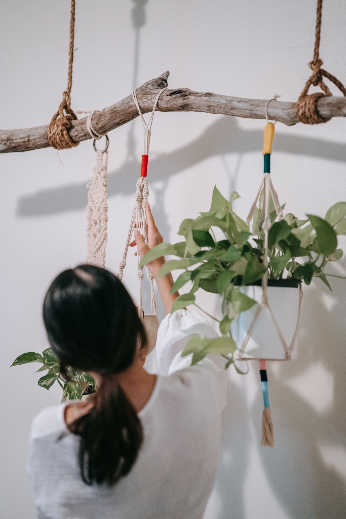 Macrame plant hangers holding potted plants