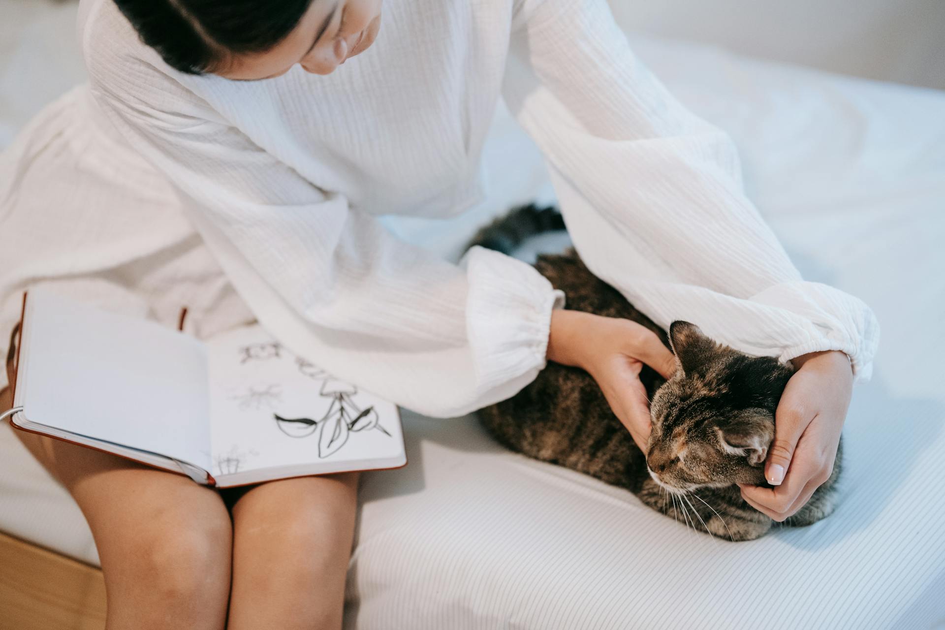 Woman in White Long Sleeves Sitting Beside Her Cat