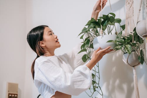 Free Woman Hanging Her Indoor Plants on the Wall  Stock Photo