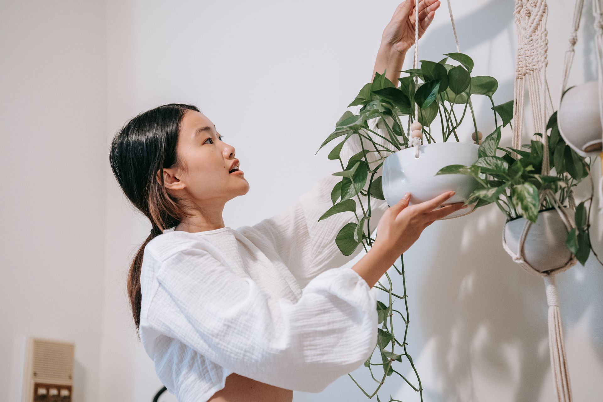 Asian woman arranging indoor hanging plants against a white wall, showcasing modern home decor.