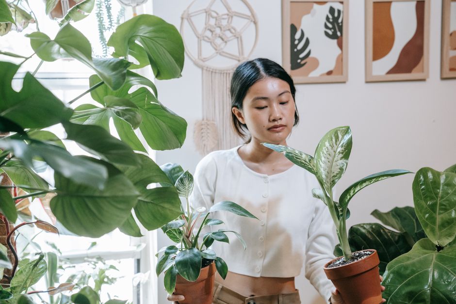 Industrieel interieur met urban jungle vibe. Industrieel interieur met urban jungle vibe.