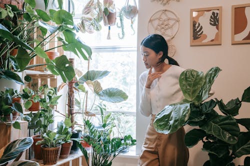 Woman in White Long Sleeve Shirt Hlooking at Potted Green Plants