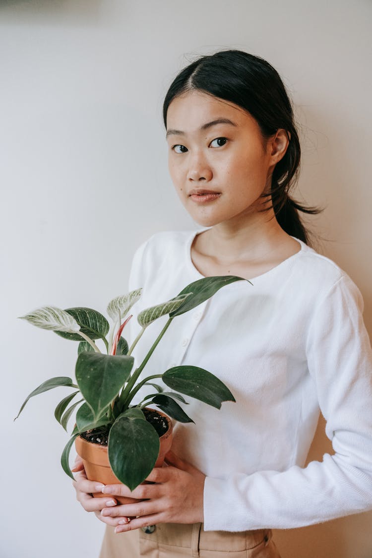 A Woman Holding A Potted Plant