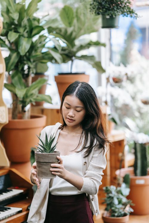 Free Young woman tending to indoor plants in a cozy setting, appreciating horticulture beauty. Stock Photo