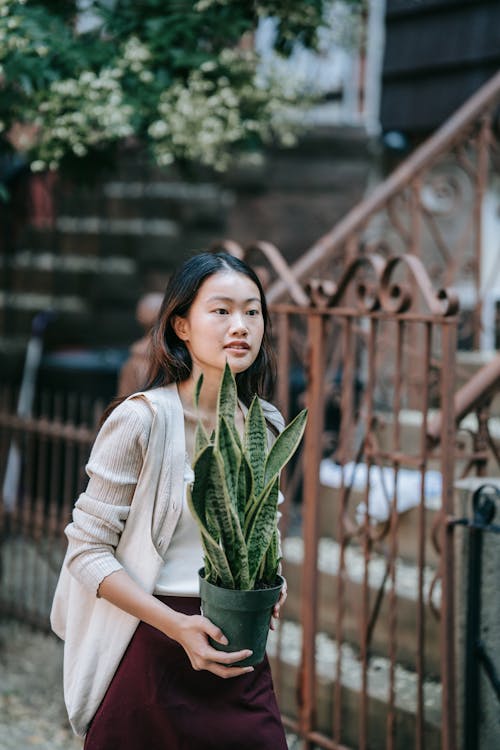Free A Woman Holding a Potted Succulent Plant Stock Photo