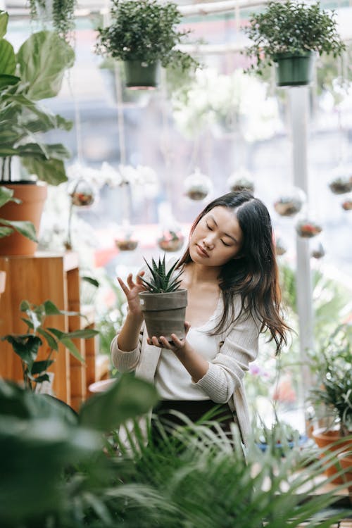Free Pretty Woman Holding a Potted Plant Stock Photo