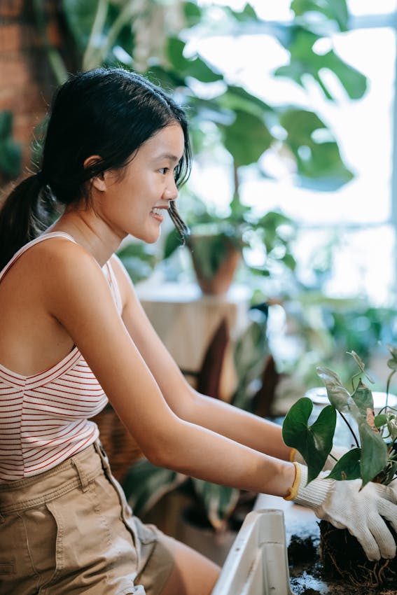 8 Plants You Should Skip Buying as Seedlings: Expert Insights for Home Gardeners