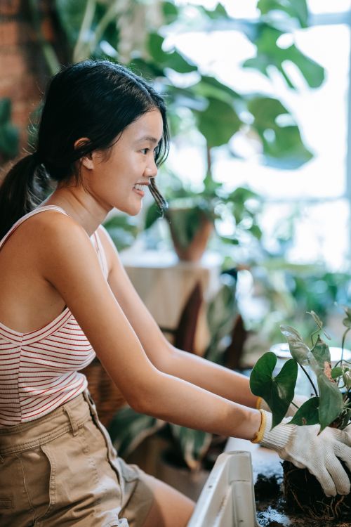 Free Smiling woman tending plants indoors, showcasing joy in gardening. Stock Photo