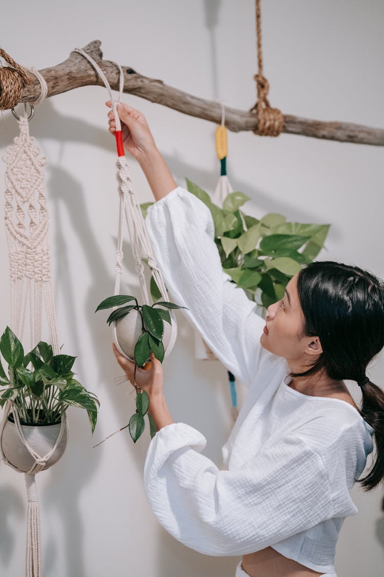 A Woman Arranging The Hanging Plants