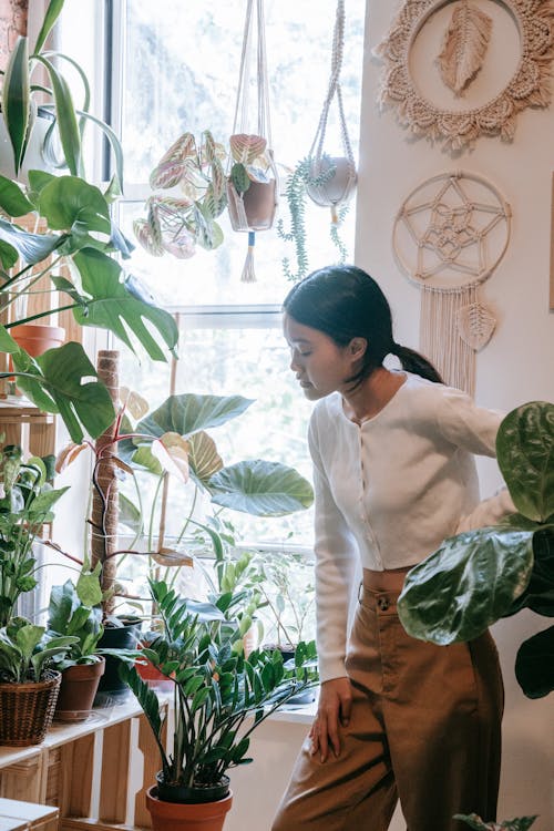 Woman Looking at the Indoor Plants