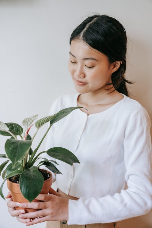 Woman Holding Green Plant in a Pot