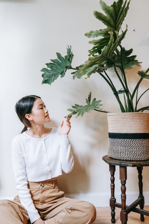 Woman Looking at Her Indoor Plant
