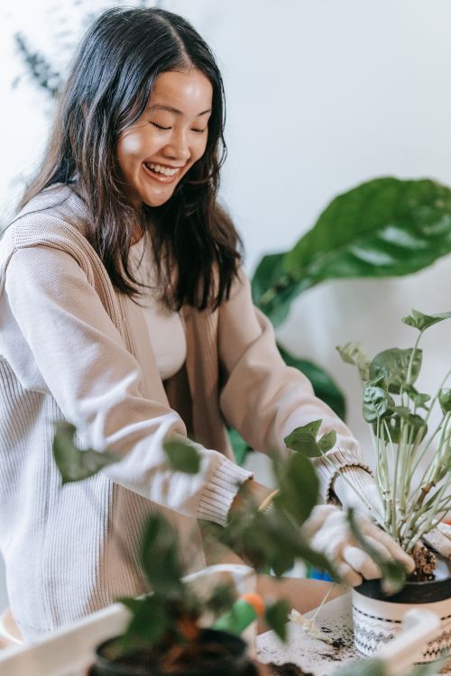 Free Smiling woman enjoying indoor gardening, planting potted plants at home. Stock Photo