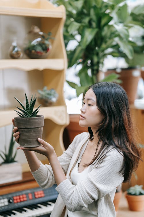 Woman Holding Green Plant in a Pot