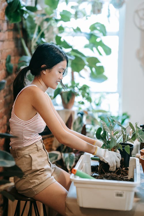 Woman Putting a Plant in a Pot