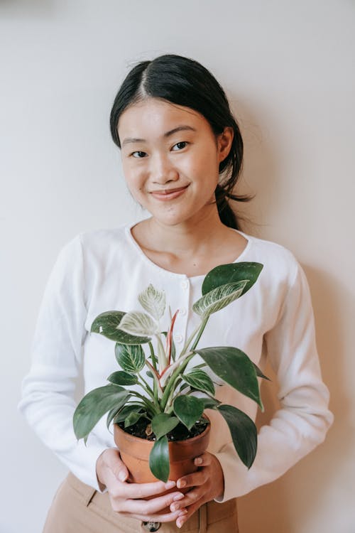 Free Woman Holding Green Plant in a Pot Stock Photo