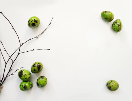 Creative arrangement of green speckled eggs with twigs on a minimalist white background.