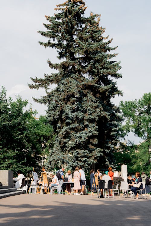 Free People Standing Near A Big Green Tree Stock Photo
