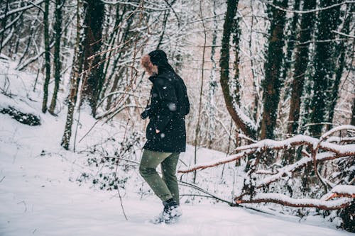 Free Photo of a Person in the Snowy Forest Stock Photo