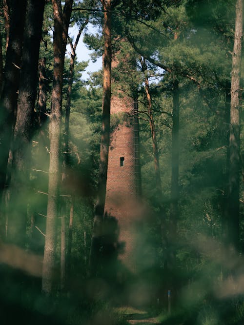 A Brick Tower in the Middle of the Forest