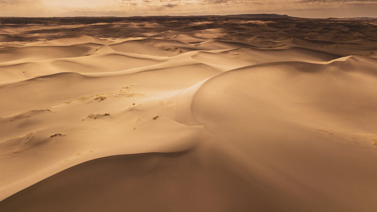 Wavy Sand Dunes