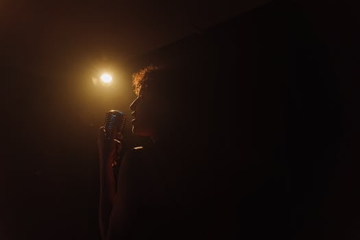 A dramatic silhouette of a woman holding a vintage microphone, caught in warm stage light.