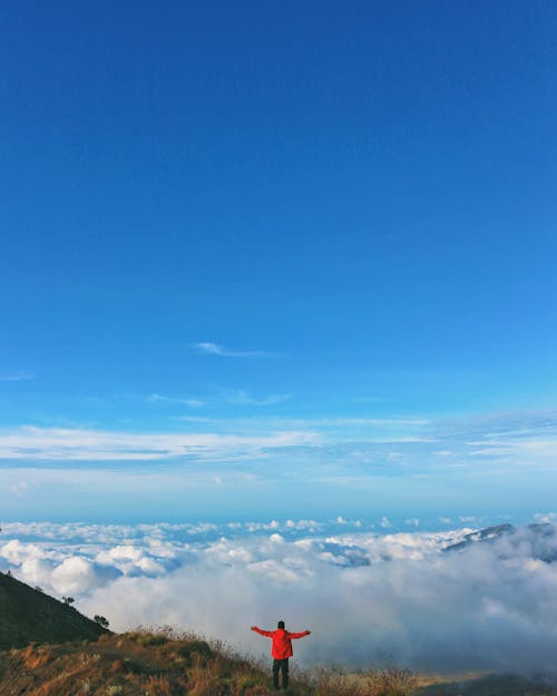 Person Standing on Top of Mountain Looking at Sea of Clouds