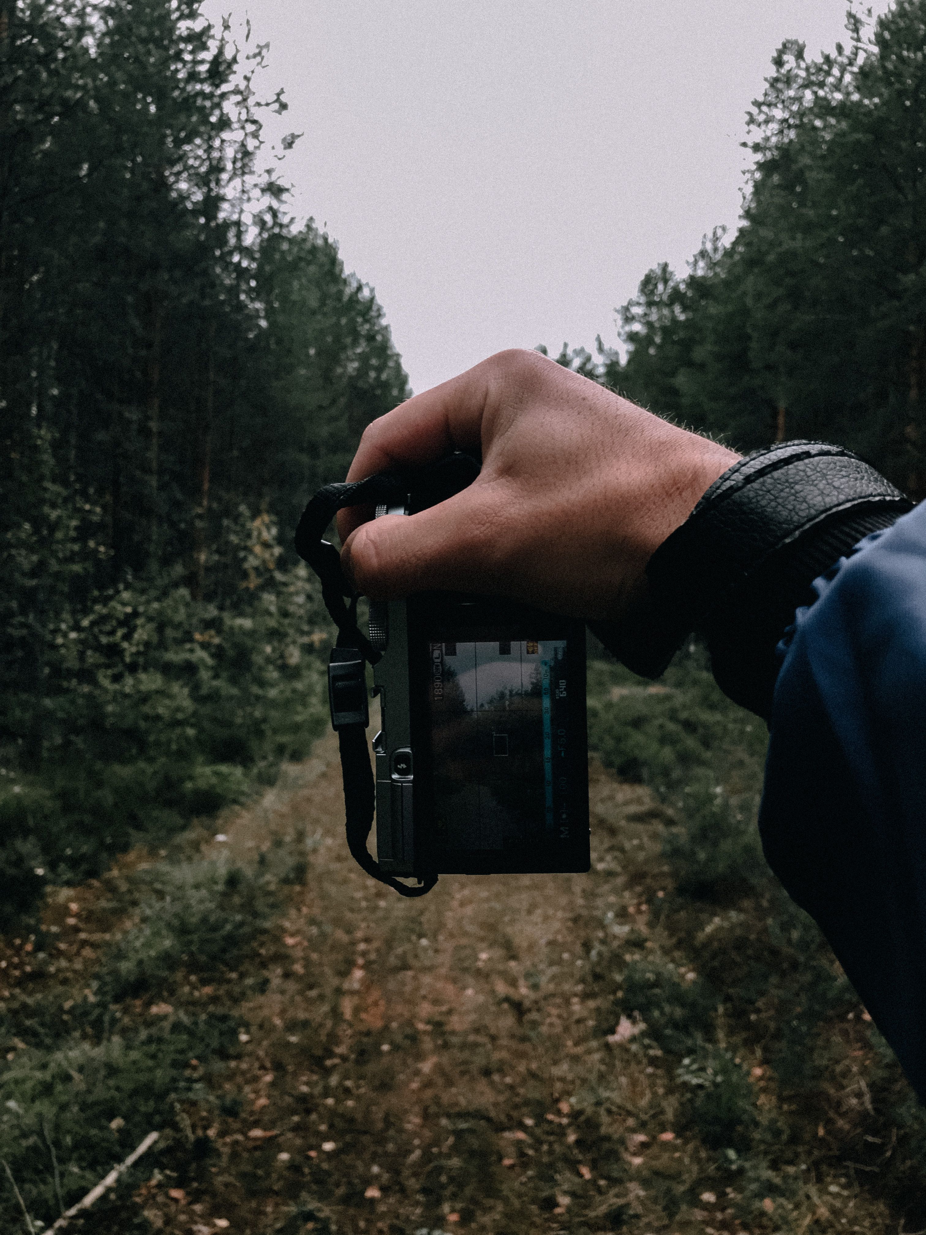 Hand holding a camera capturing a forest scene, showcasing outdoor photography and nature exploration.