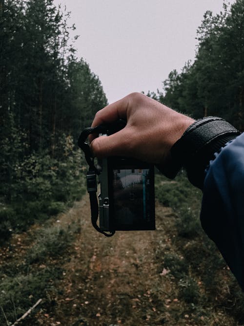 Ingyenes stockfotó digitális kamera, fák, fényképezőgép témában