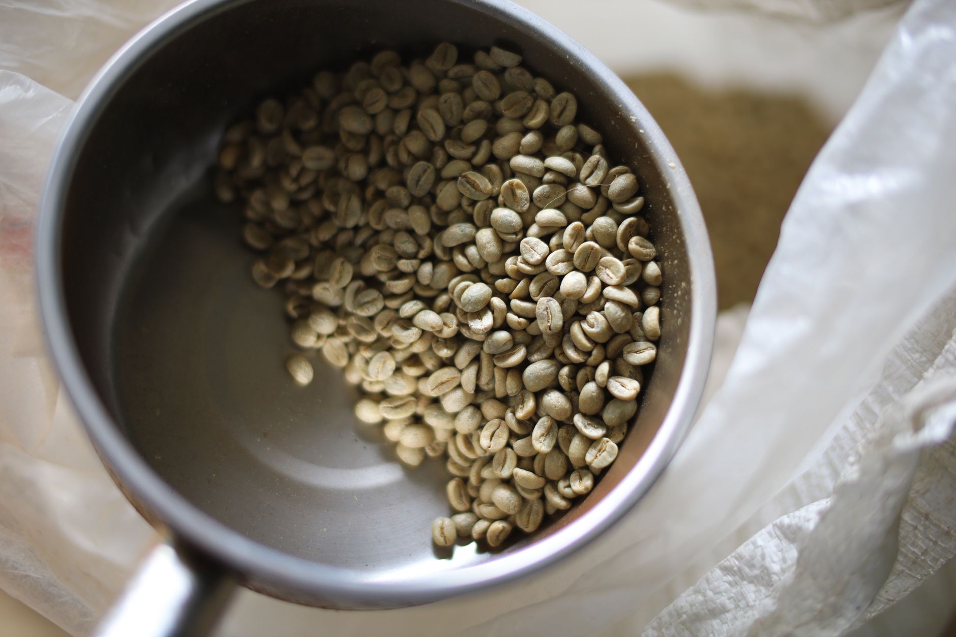 Colombian Geisha Reserve