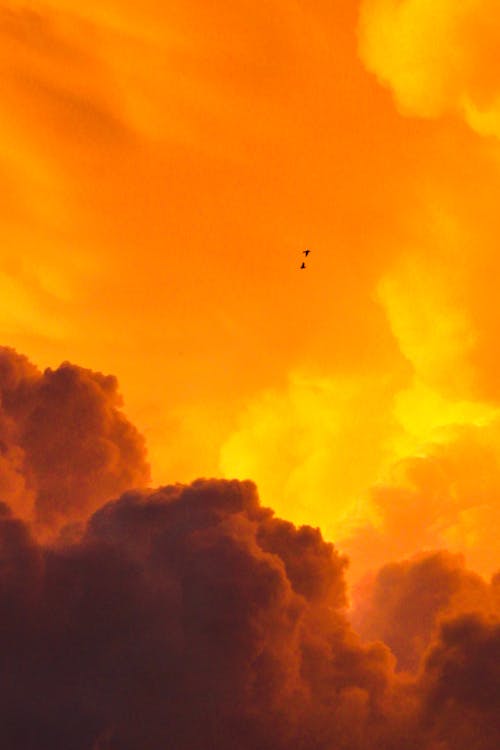 Clouds in the Sky during Sunset