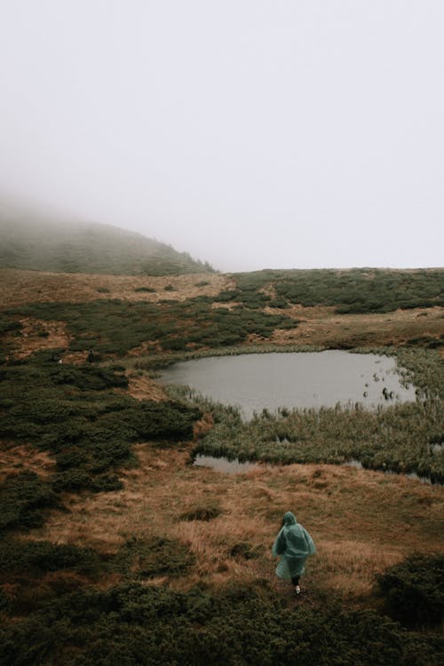 Drone Shot of a Person in Green Raincoat Walking on the Grass near Lake