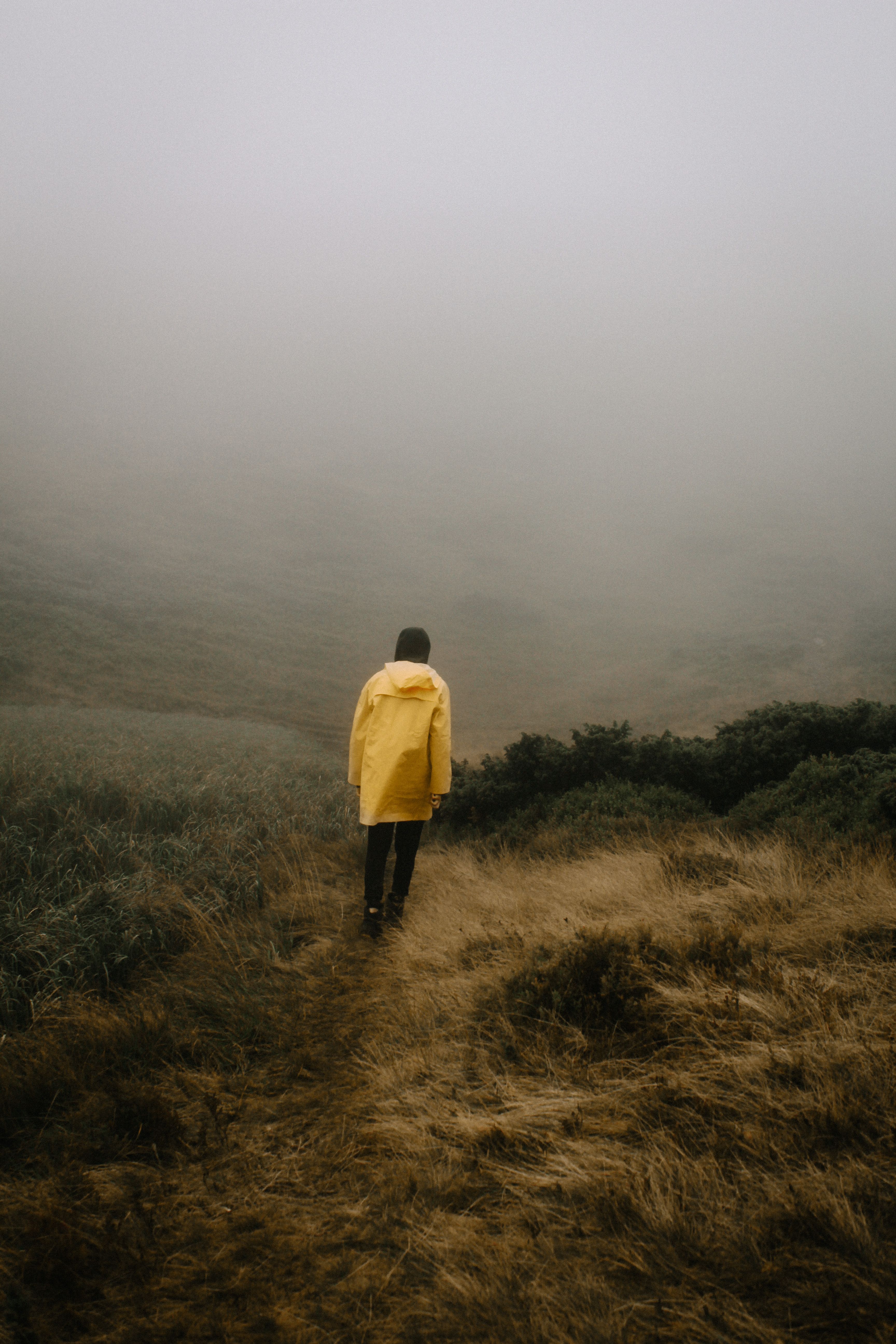 A person in a yellow raincoat walking through a foggy, grassy field, embracing solitude.