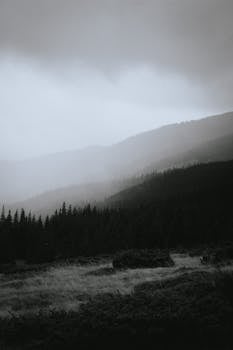 Serene misty mountain landscape features pine forest and grassy foreground.
