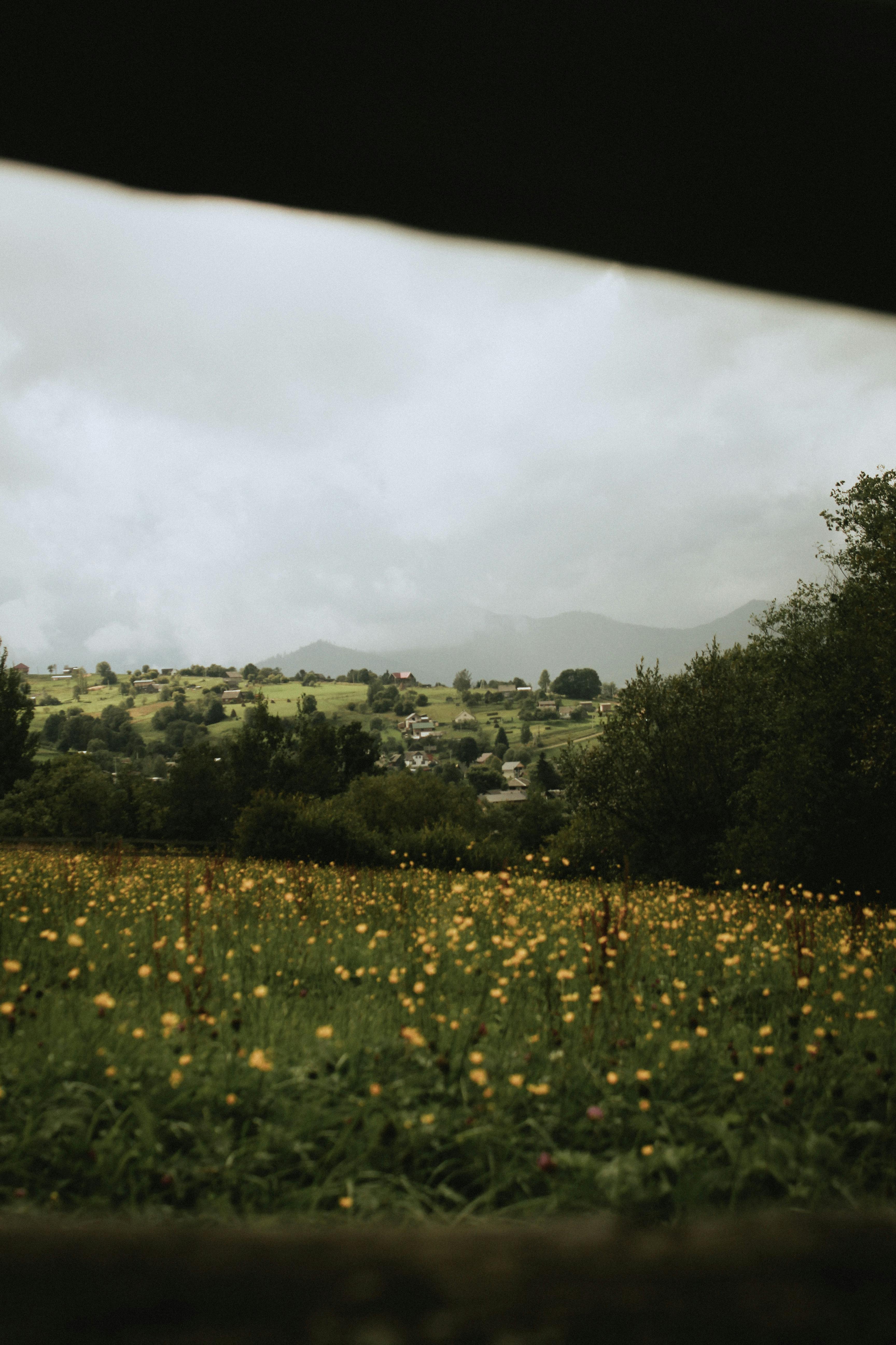 Charming rural landscape with a flower-filled meadow and distant rolling hills under cloudy skies.