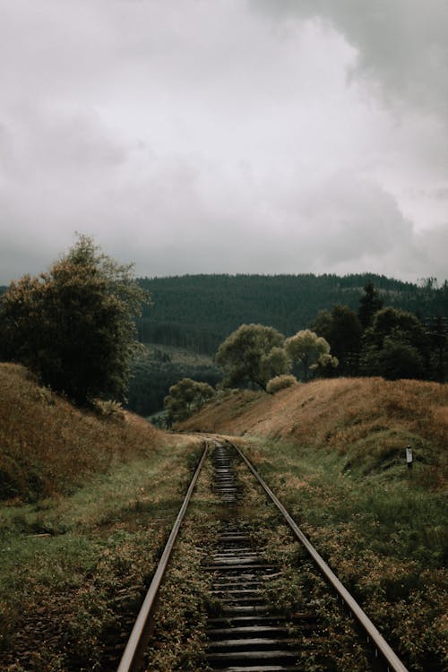 Photo of a Railroad Track Between Grass