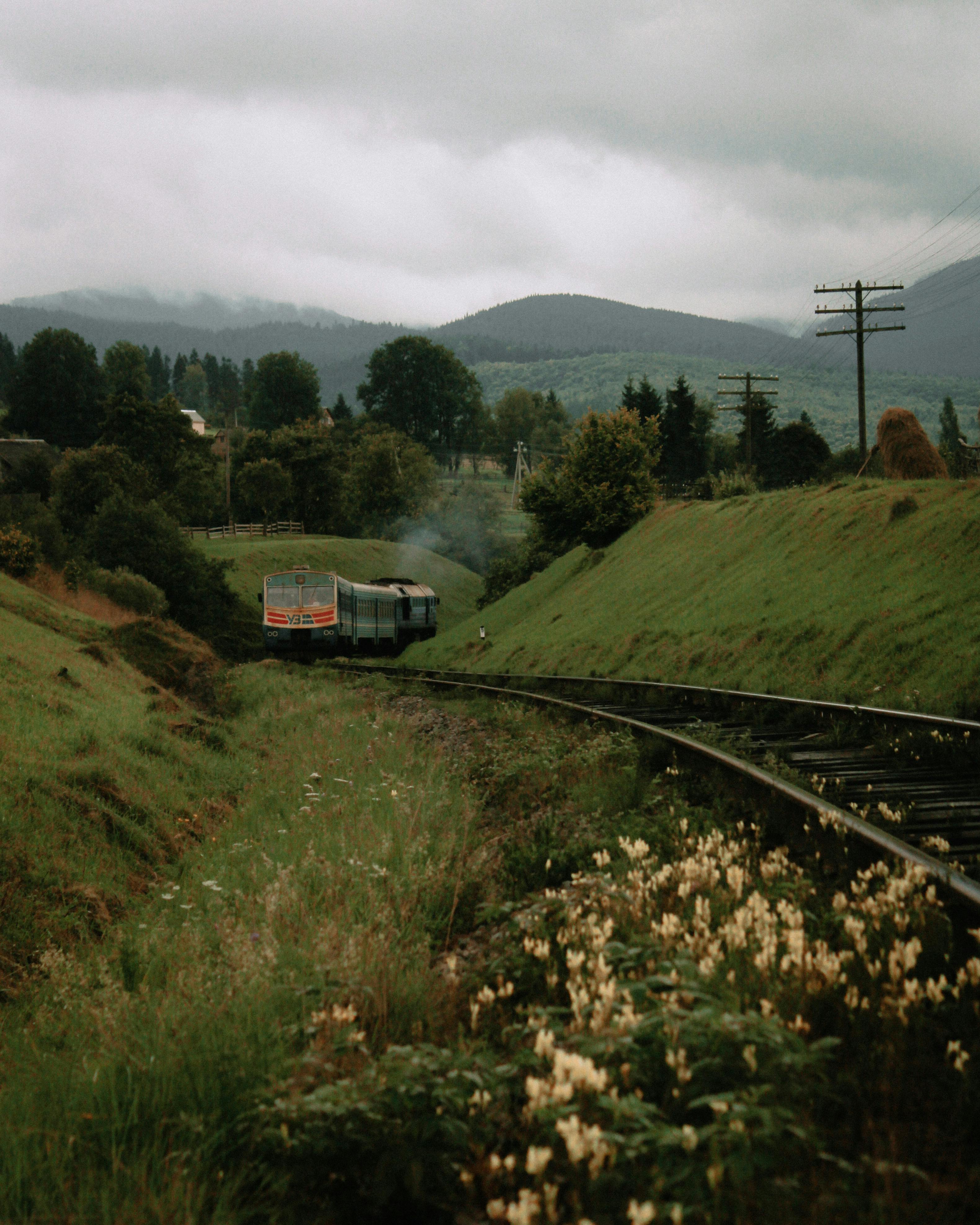 A scenic view of a train on tracks surrounded by lush meadows under a cloudy sky.