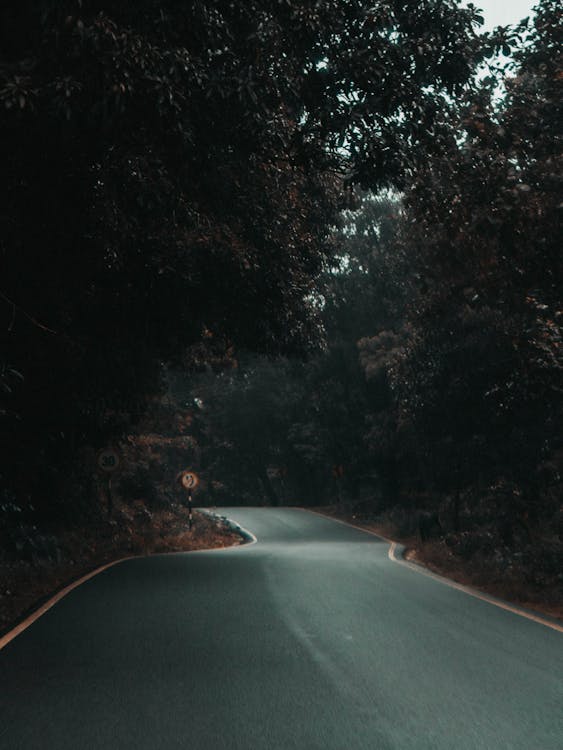 Black Asphalt Road in the Countryside · Free Stock Photo