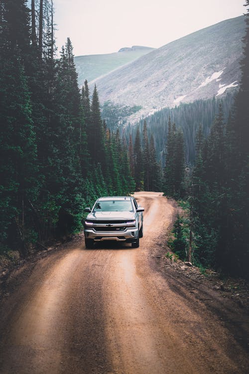 White Car on Dirt Road Near Green Trees