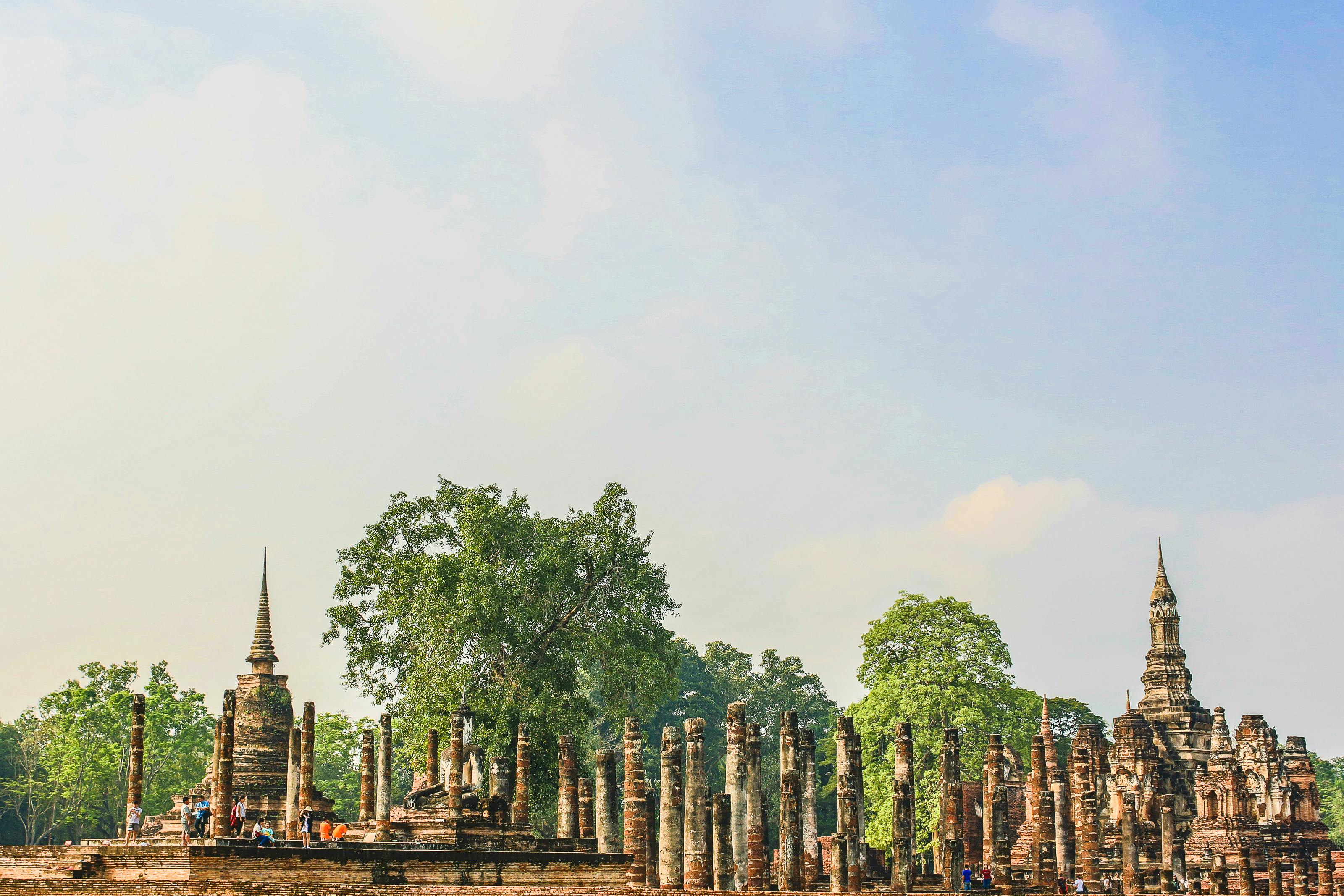 How cheap can you build a big shed?