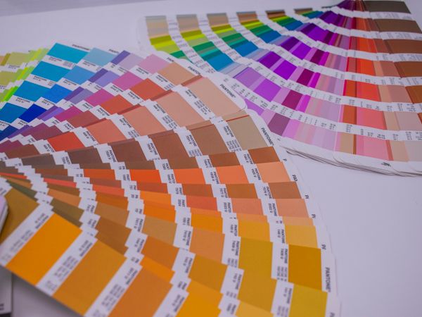 Colour swatch palette for paint selection at Vishal Paints