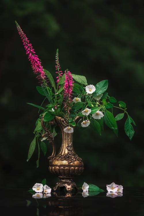 무료 금관악기, 꽃, 꽃무늬의 무료 스톡 사진